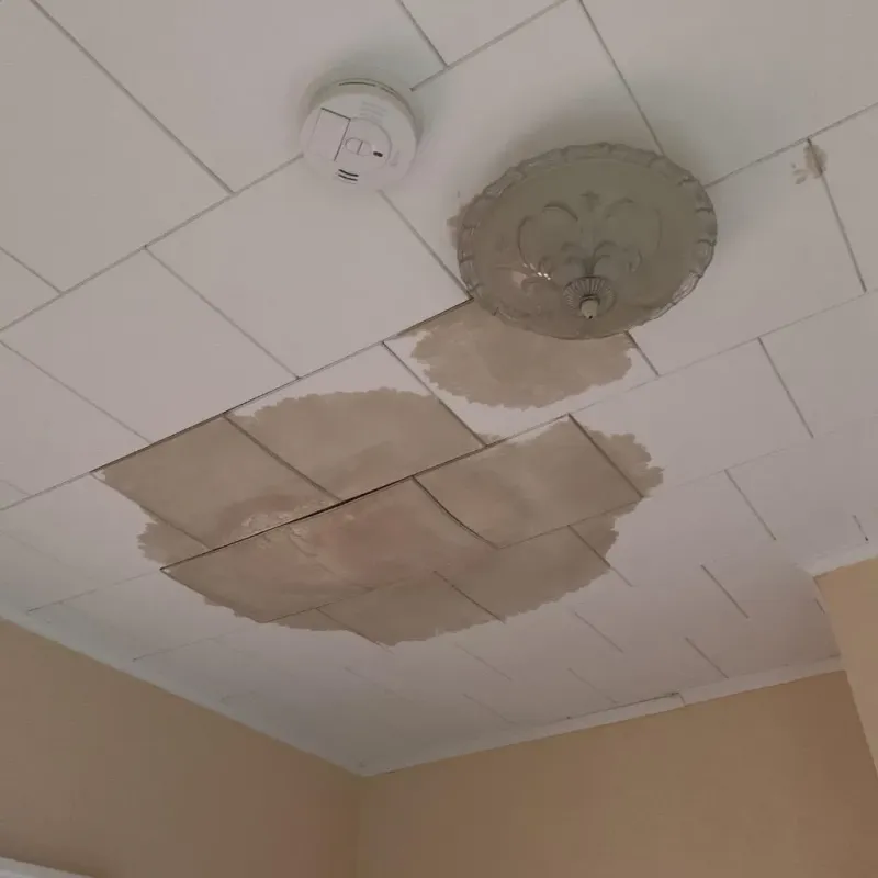 Ceiling Water Damage Repair in Saint Clairsville, OH