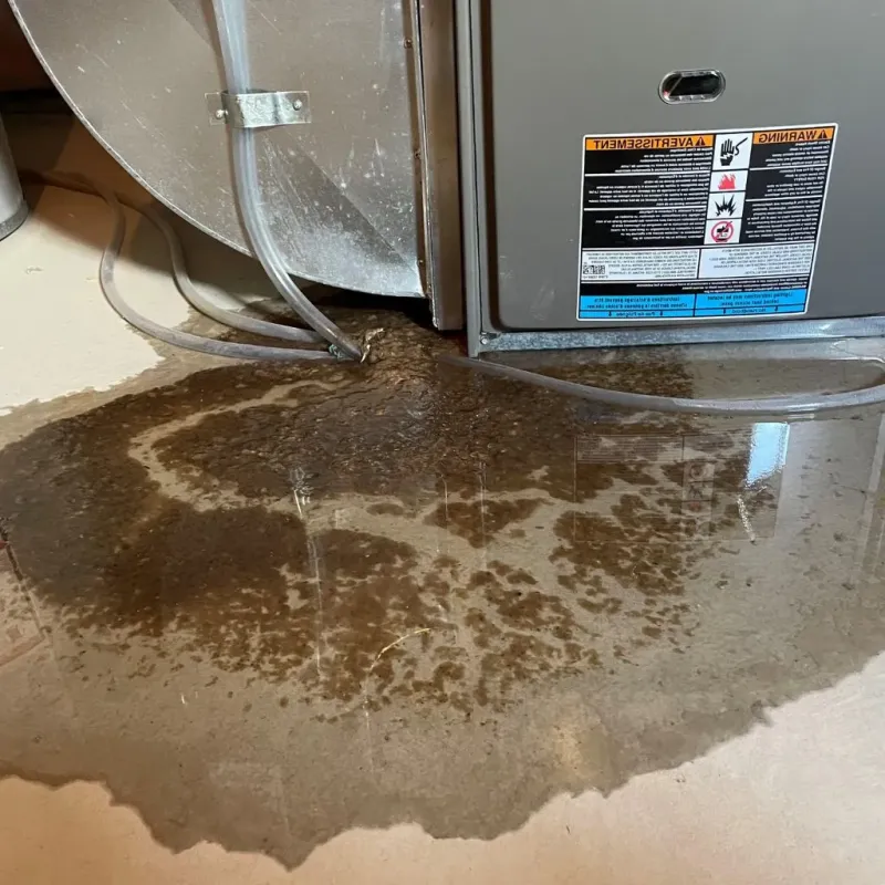 Pipe Burst and Leak Restoration in Saint Clairsville, OH