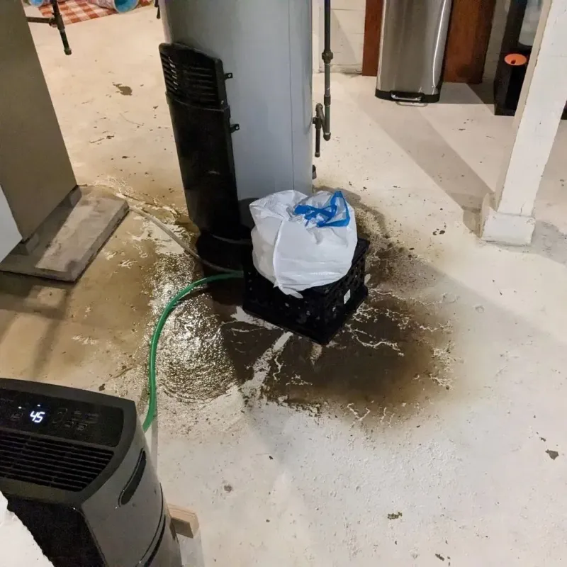 Sewage Backup Cleanup Service in Saint Clairsville, OH